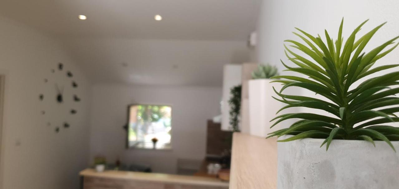 Apartments Marija Vukas Dubrovnik Ngoại thất bức ảnh